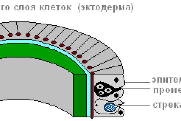 Ссылка кракен сайт зеркало