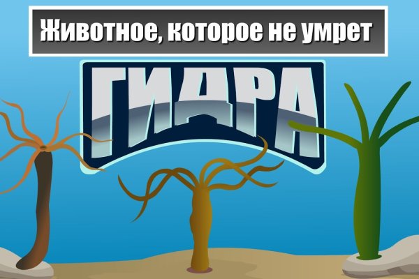 Ссылки зеркала на kraken