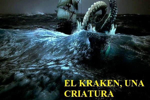 Kraken 12g