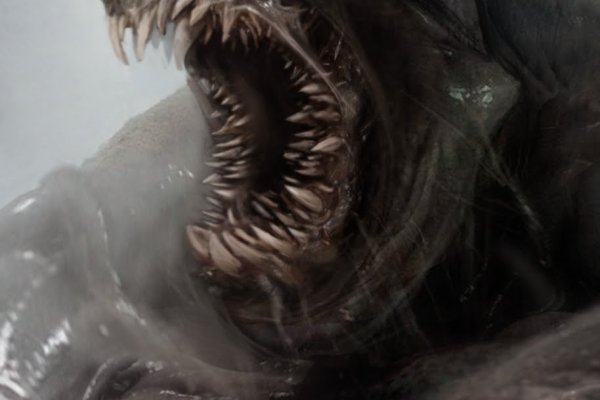 Kraken whitenet market